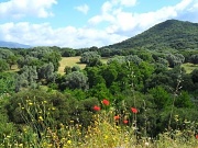 4th Jul 2012 - A view at Filitosa