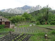 9th Jul 2012 - A mountain garden