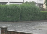 9th Jul 2012 - Today it rained ...