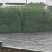 Today it rained ... by plainjaneandnononsense