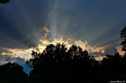 10th Jul 2012 - Sunset in  N.J.
