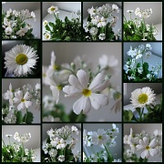 8th Jul 2012 - Flowers in Appreciation