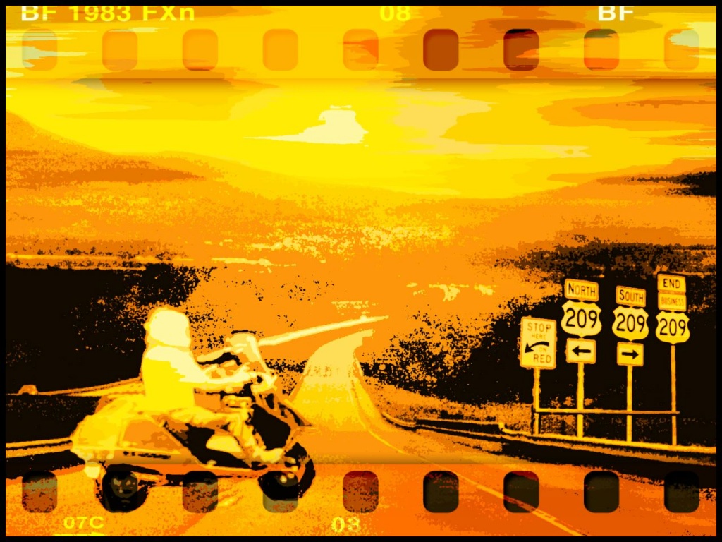 Easy Rider by olivetreeann