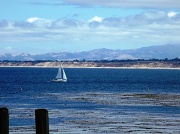3rd Jul 2012 - Monterey Bay
