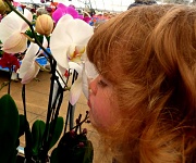 11th Jul 2012 - Flower Girl