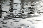 9th Jul 2012 - Surface Water