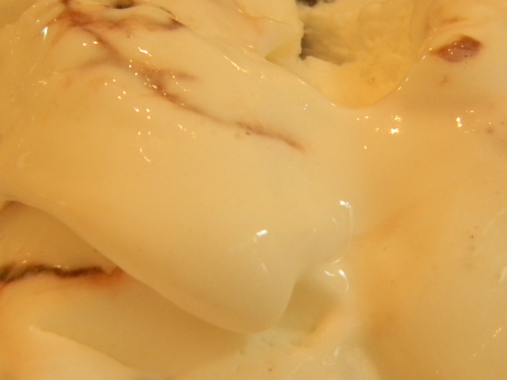 Junior Mint Ice Cream Close-up 7.11.12 by sfeldphotos