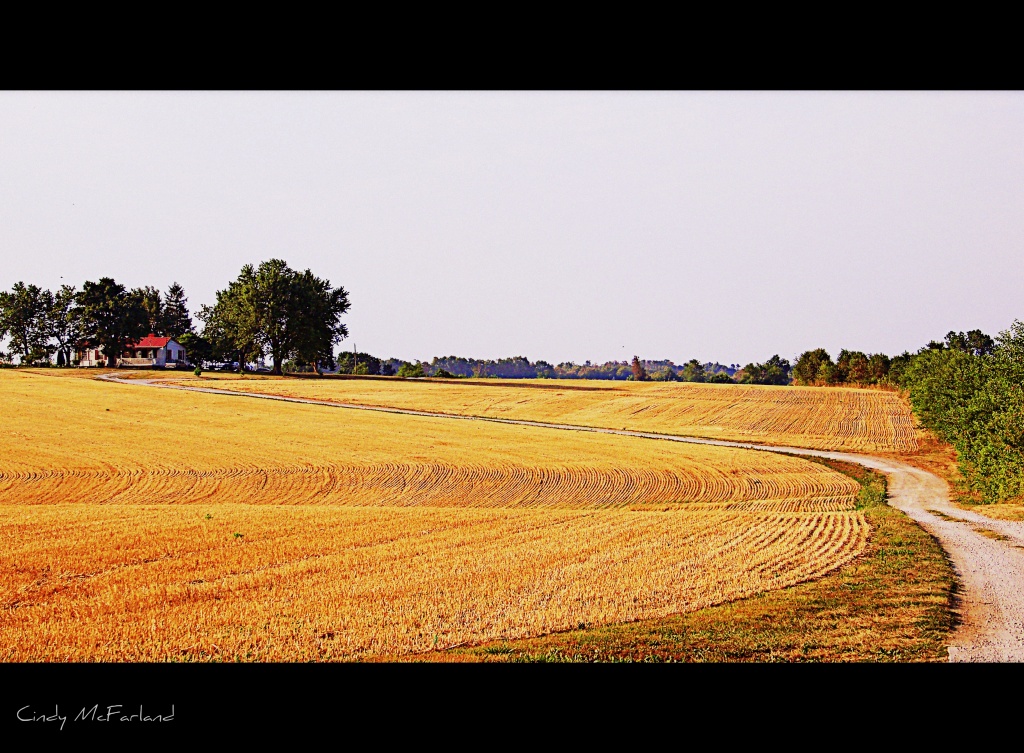 The Long and Winding Road by cindymc