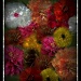 FlowerAbstract by digitalrn