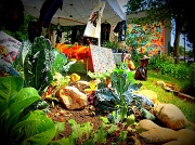 5th Jul 2012 - Garden Art