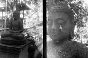 12th Jul 2012 - Time: Bodhisattva and snail