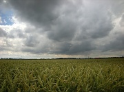 12th Jul 2012 - Clouds