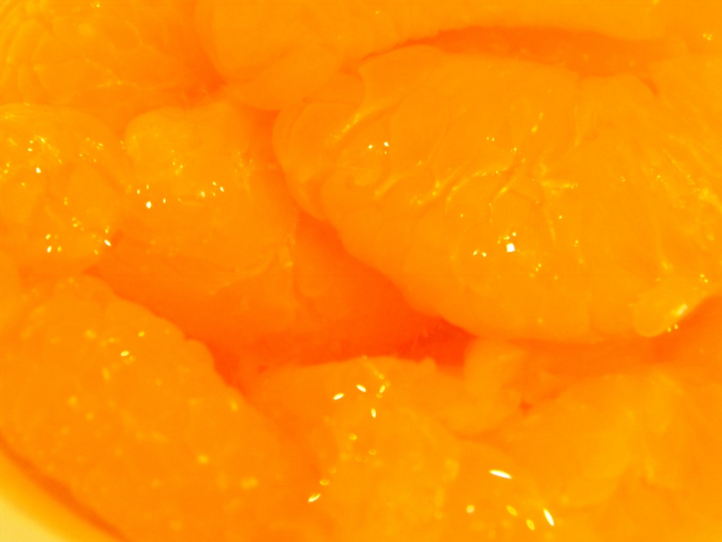 Mandarin Oranges 7.12.12 by sfeldphotos