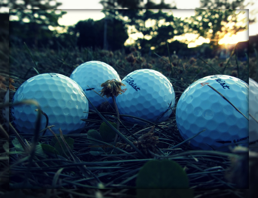 fore! by summerfield