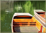 13th Jul 2012 - Punts On The River Cam