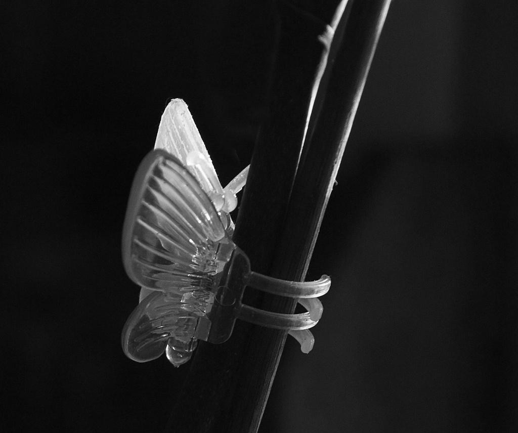 Butterfly clip by dulciknit