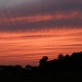 Summer sunset by kdrinkie