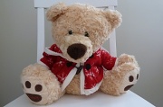 15th Jun 2012 - Teddy