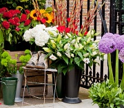 13th Jul 2012 - flower stall 2