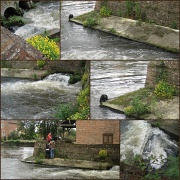 15th Jul 2012 - at the mill race