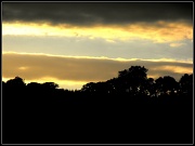 15th Jul 2012 - Evening sky.