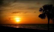 13th Jul 2012 - Sunrise Along the Shore