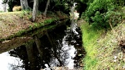 15th Jul 2012 - Garden Stream