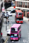 16th Jul 2012 - Minibuses