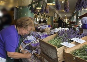 16th Jul 2012 - The Lavender Lady