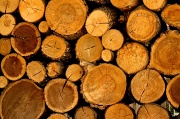 14th Jul 2012 - Wood pile