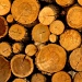 Wood pile by judyc57