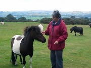 16th Jul 2012 - This pony wanted some attention  