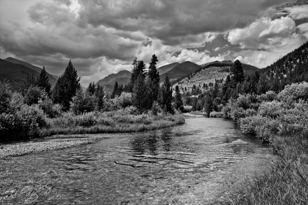 Stream in Rocky Mountain National Park by harvey