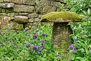 15th Jul 2012 - staddle stone
