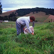 17th Jul 2012 - Cutting grass