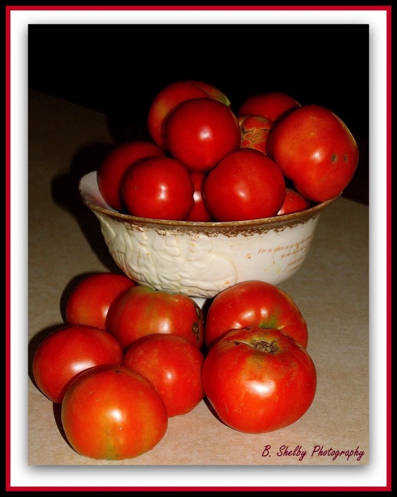 Tomatoes by vernabeth