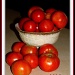 Tomatoes by vernabeth