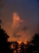 18th Jul 2012 - Crazy cloud creature...