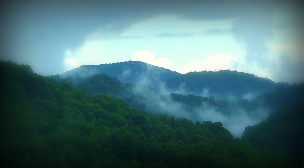 Mountain Mist by calm