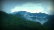 16th Jul 2012 - Mountain Mist