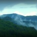 Mountain Mist by calm