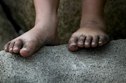 17th Jul 2012 - Little feet