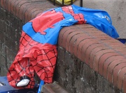 18th Jul 2012 - Is this the end of spiderman?