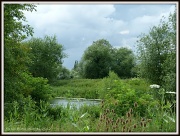 18th Jul 2012 - Tales of the River Bank