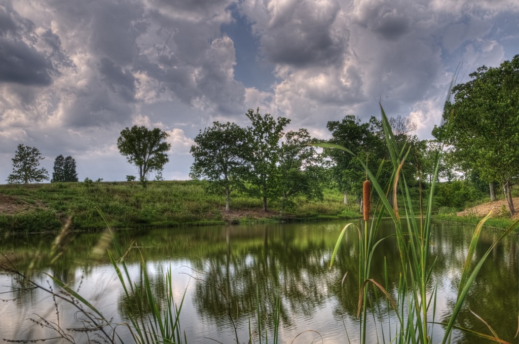 The Parklands of Floyd's Fork by lstasel