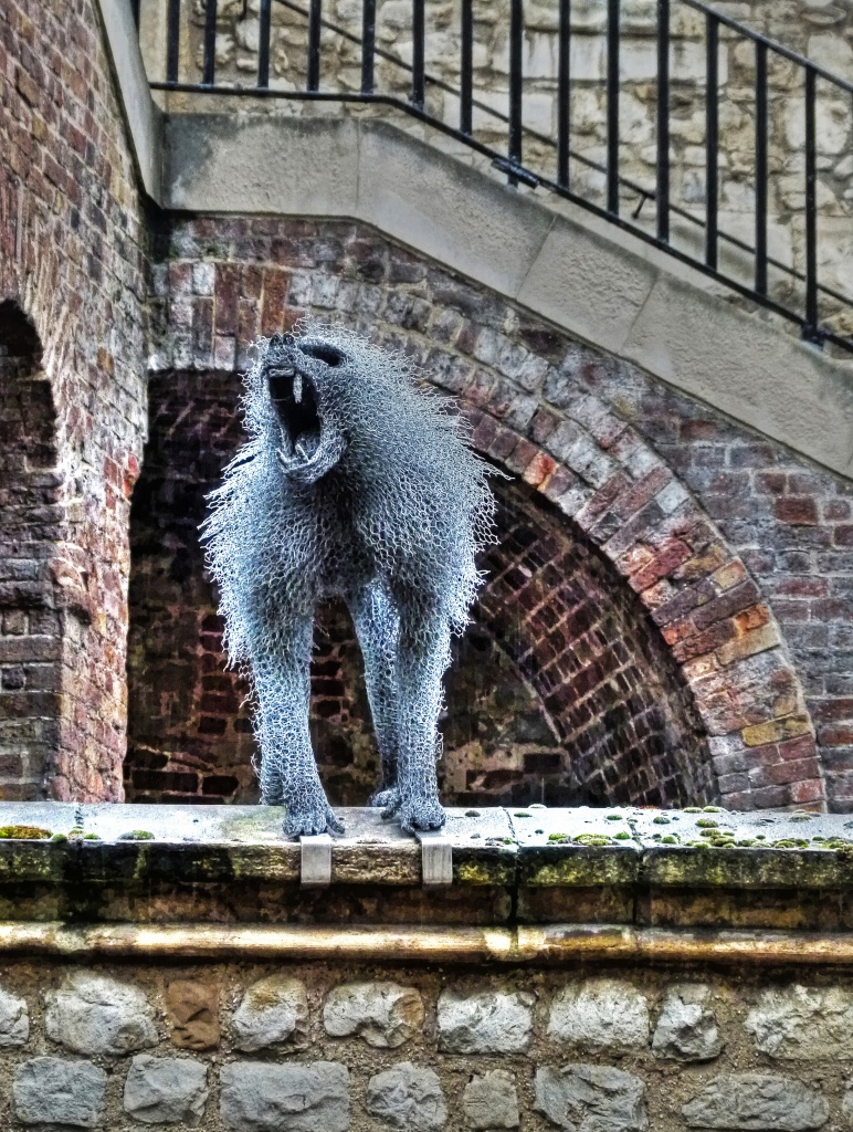 chicken wire macaque by jantan