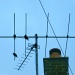 Birds on a wire by filsie65