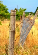 20th Jul 2012 - The Fence