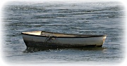 19th Jul 2012 - rowing machine
