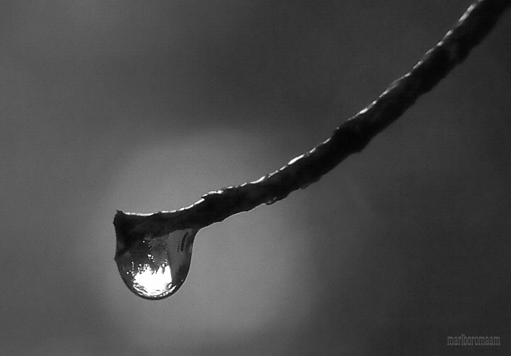 My little world in a rain drop... by marlboromaam
